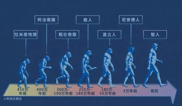 人的祖先是鱼吗，科学家证实人类是鱼进化而来