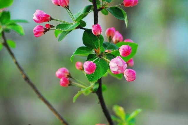 飞花令里读诗词，飞花令诗词大全（飞花令里读诗词）