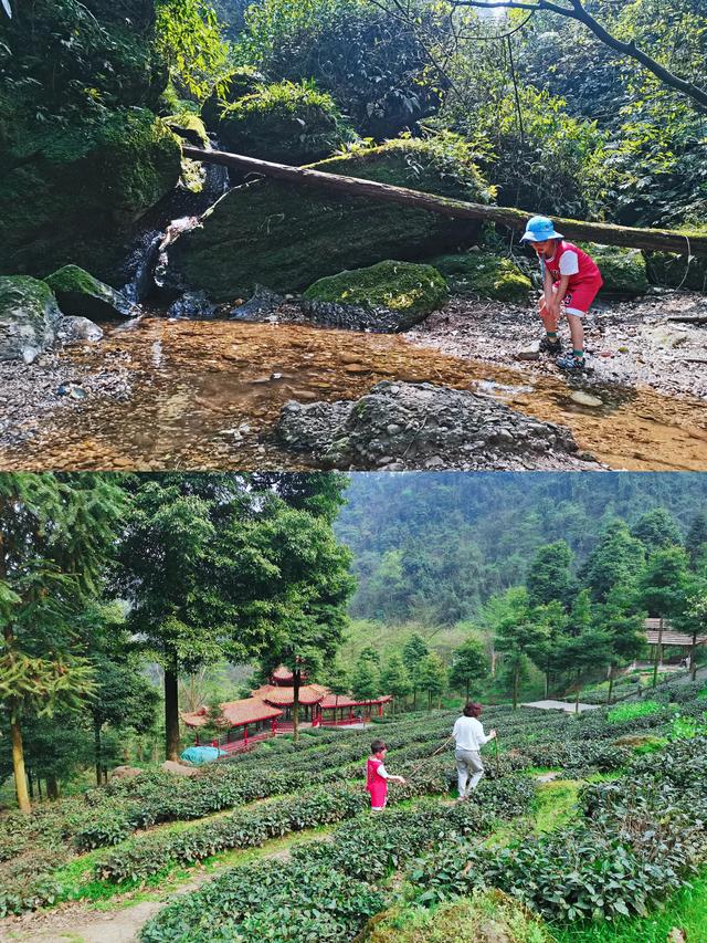 青城后山旅游攻略，成都青城山后山旅游攻略