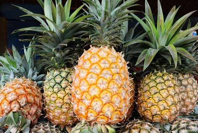 云南产什么水果，云南水果种类及名称