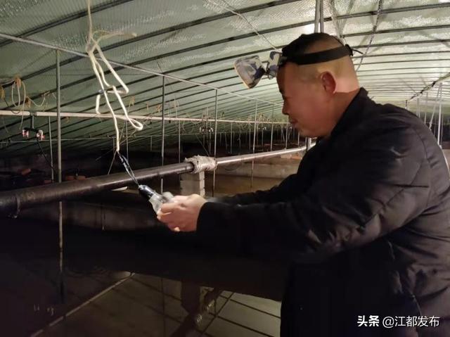 甲鱼养殖基地出售0.6市斤，武坚镇温室养殖大户居友宝有本