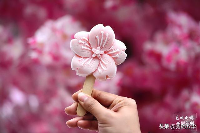 昆明地铁5号线线路图，5号线来了快上车（地铁线路图昆明5号线）