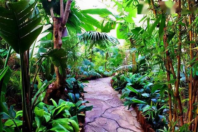 天津景点排行榜前十名，天津八大旅游景点排行榜前十名（天津8个知名度不高）