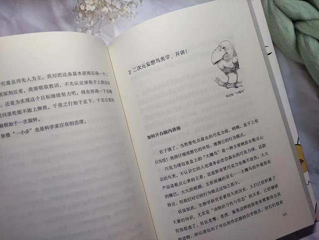 10种好看的鸟，这8种造型又漂亮又好养