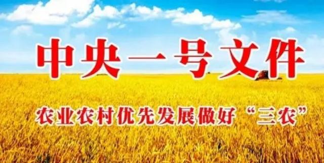 二十大三农是什么意思，什么是三农