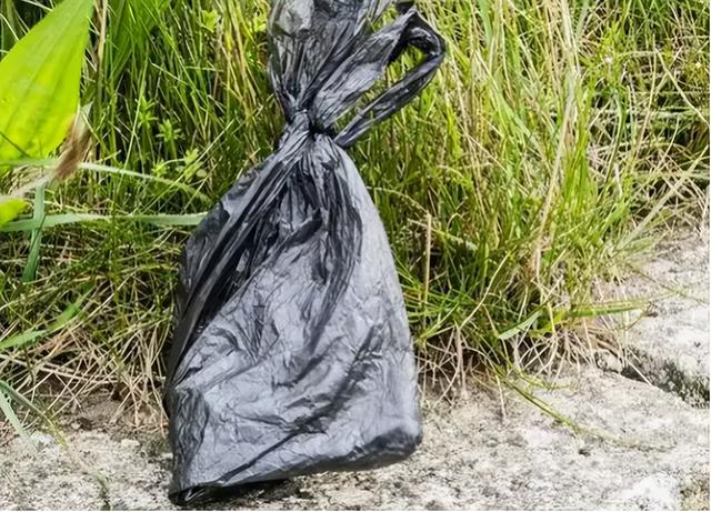 东北女魔头马艳红是谁，你敢相信一个20岁出头的美女