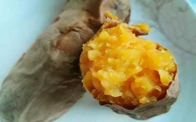 钓鱼基础饵料有哪几种，了解三种常用饵料的优劣势、适用鱼情