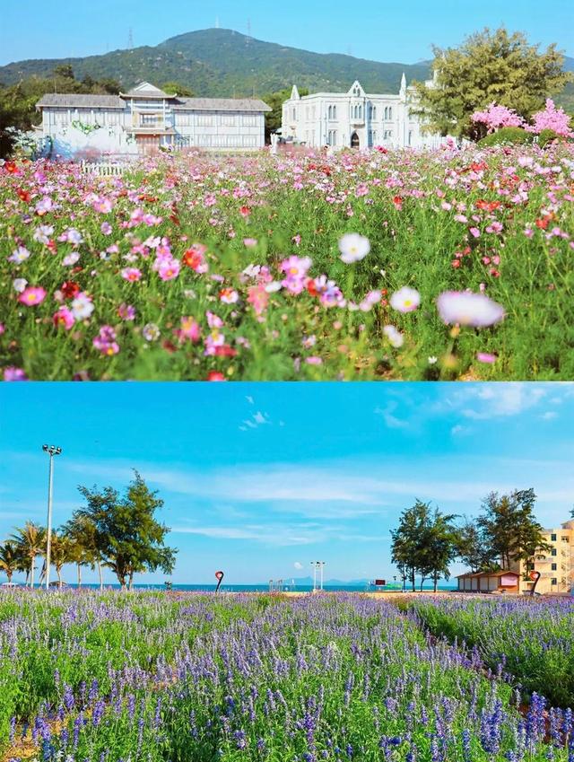 深圳玫瑰海岸夏日游，清明假期游客在深圳玫瑰海岸逐波踏浪