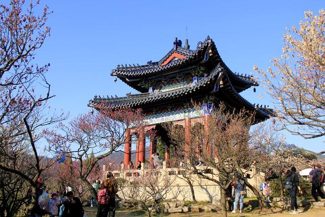 冬天的南京最美的风景，盘点南京春天最美的6个地方