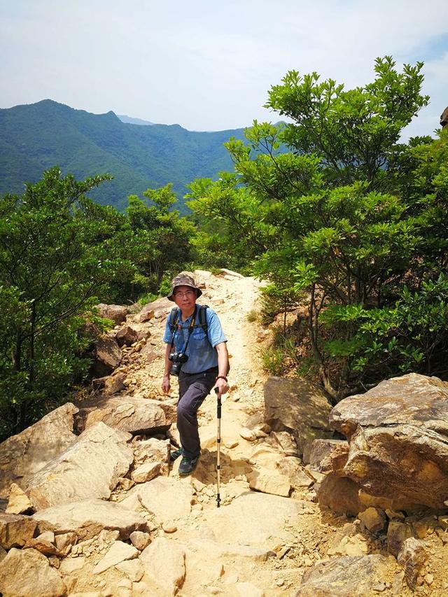 关于深圳梧桐山简介，深圳之巅——梧桐山