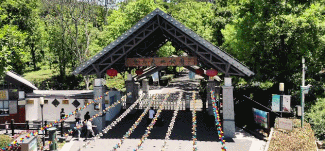 南京周边一日游，南京周边踏青一日游景点推荐（南京秋游好去处）