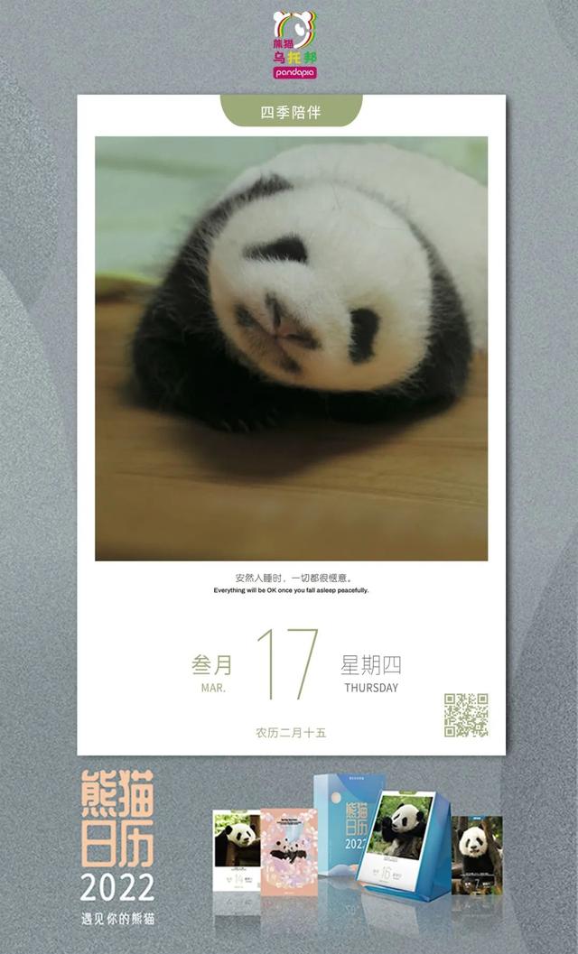 各个年龄段的大熊猫，相隔12年出生的大熊猫