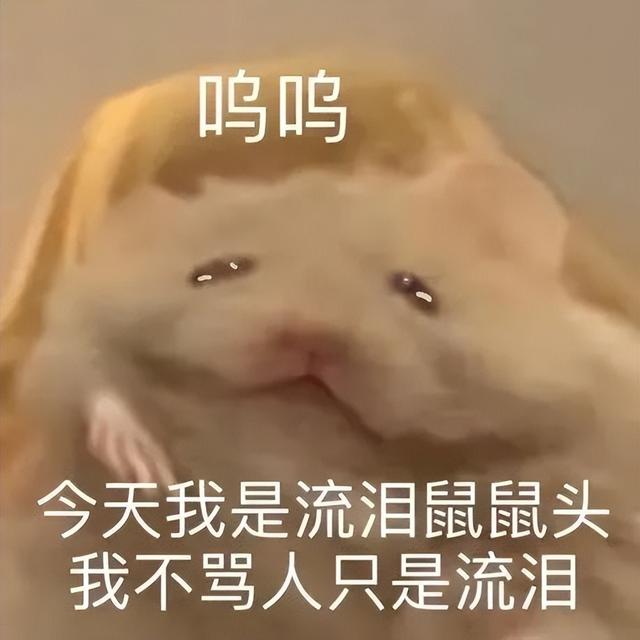 小仓鼠动态迷你表情包，变形脸仓鼠可爱老鼠