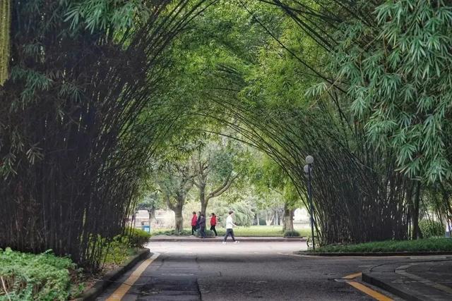 最漂亮的十所大学宿舍，别人家系列重庆大学虎溪校区学生宿舍的美不只一点