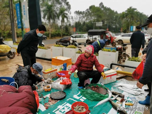 海南高物价原因分析，1瓶为啥能便宜大几百