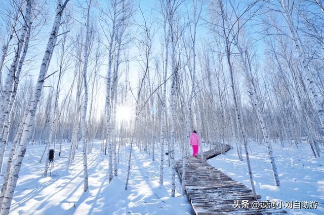 2022漠河旅游攻略必玩景点，到漠河游玩景点有哪些地方