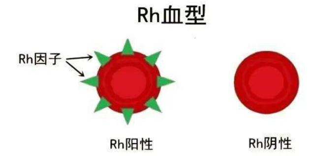 人类十二个种族，盘点32个满级人类（人类种族真的有高低之分吗）