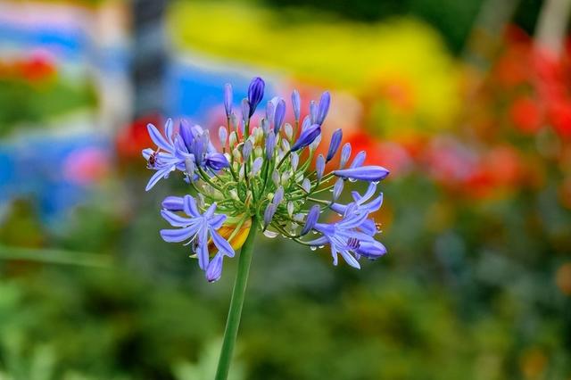 新昌最值得去的景点是哪里，邂逅夏日里的七个美好