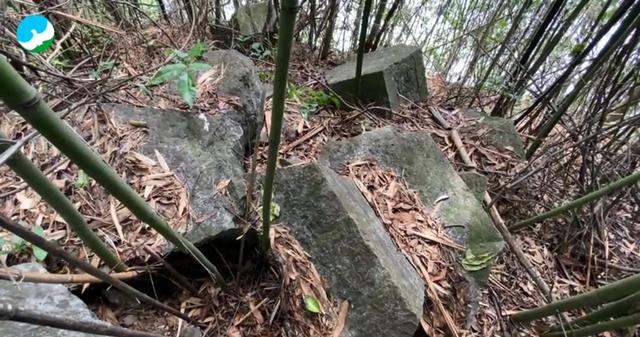 全国六大古塔，塔韵九江古塔一览