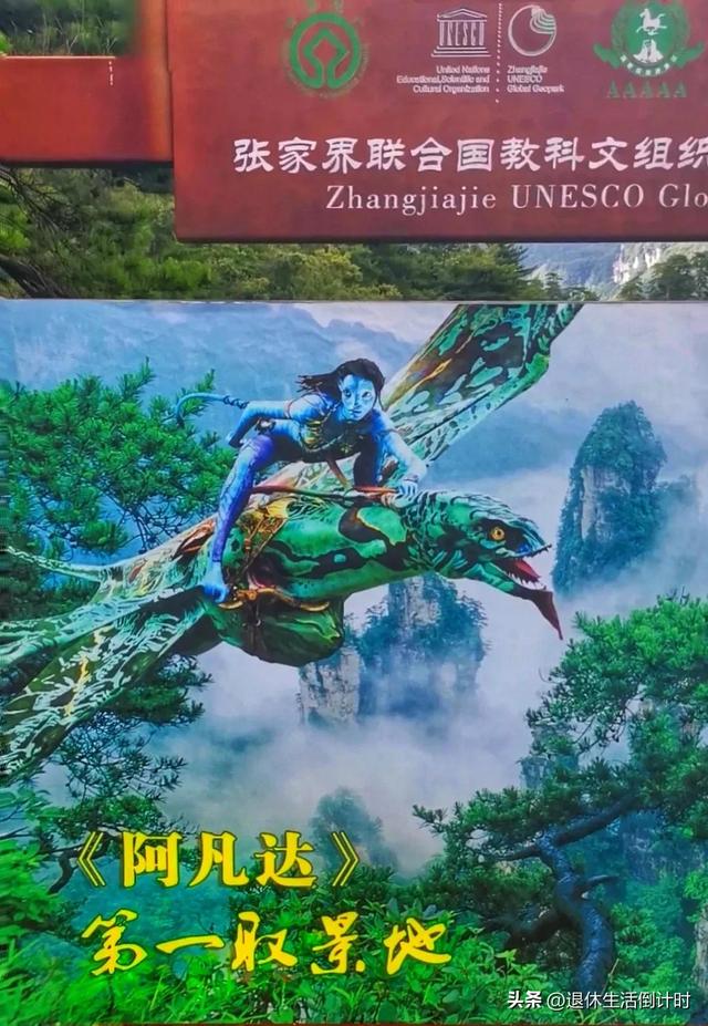 去张家界跟团游，张家界旅游纯玩团攻略和花费