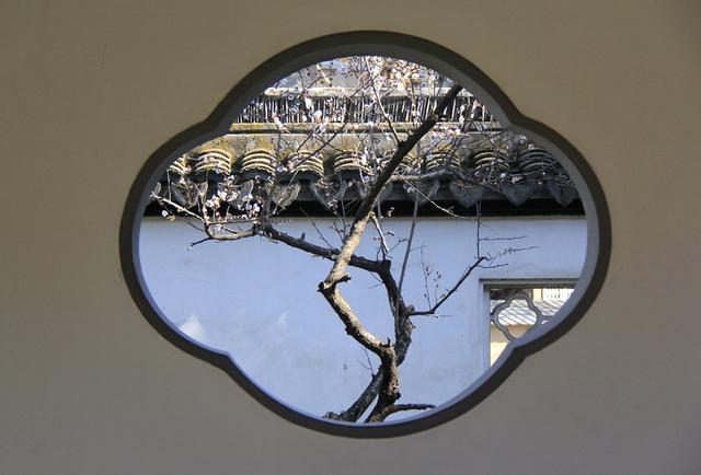 冬天的南京最美的风景，盘点南京春天最美的6个地方