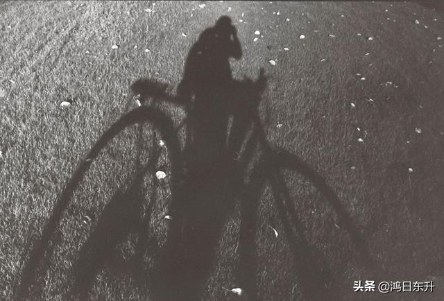 复古情怀胶片相机满满的仪式感，九款实用仿拍立得胶片感APP大测评