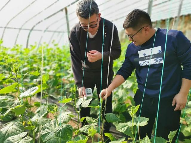 第三期乡村振兴电视夜校内容预告，乡村振兴的青春答卷