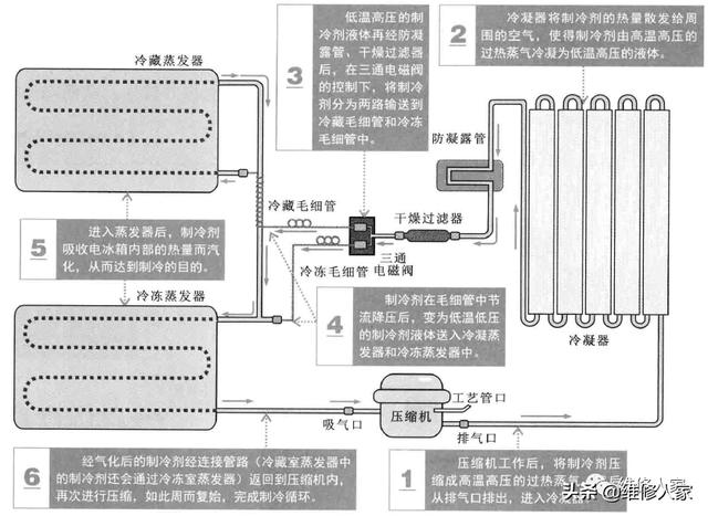 电冰箱制冷原理，家用电冰箱制冷原理（关于冰箱，你想知道的都在这了）