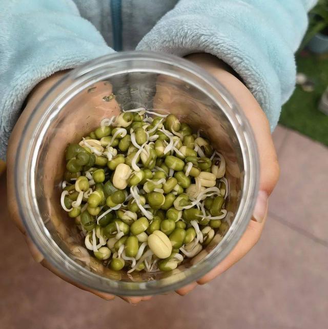 幼儿园自然角在线研讨，小小自然角春意盎然中