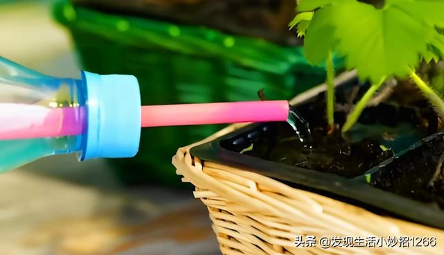 手机进水了怎么处理，分享20个生活小妙招（手机进水的紧急处理方法）