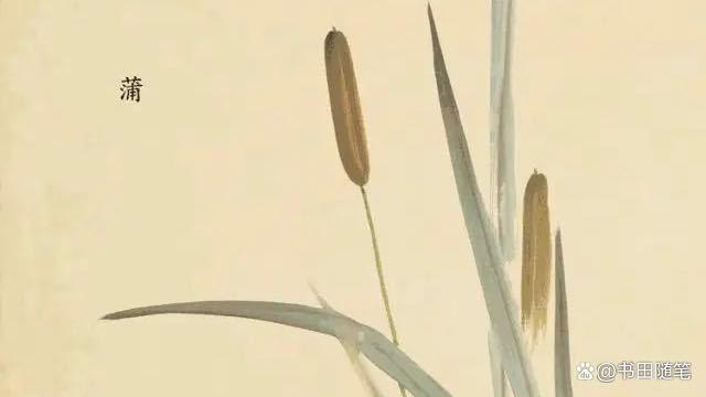 诗经有名的篇目，梁思成、林徽因、傅斯年......那些来自《诗经》的名字