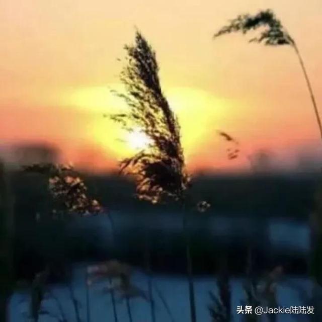 港乐时代经典语录，再看港乐的词作水平