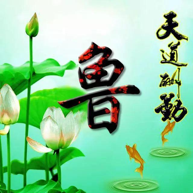 荷花头像图片大全，荷花头像高清图