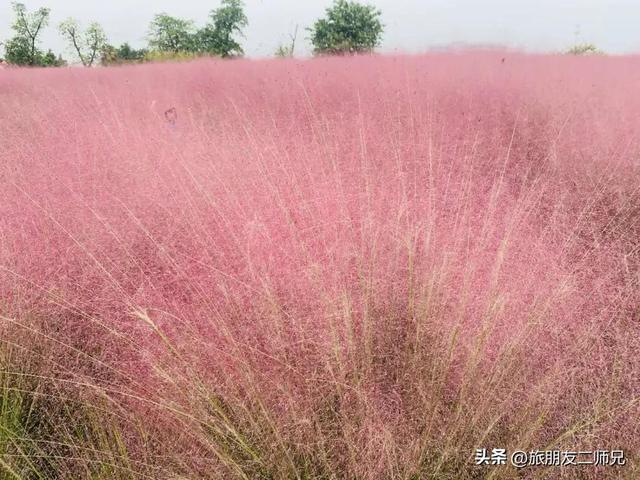 佛山自由行三日游攻略，游玩住宿攻略看这篇就够了