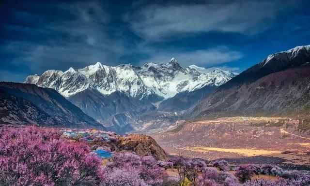 2022年林芝桃花节什么时候开始，2022年林芝桃花节3月23日开幕