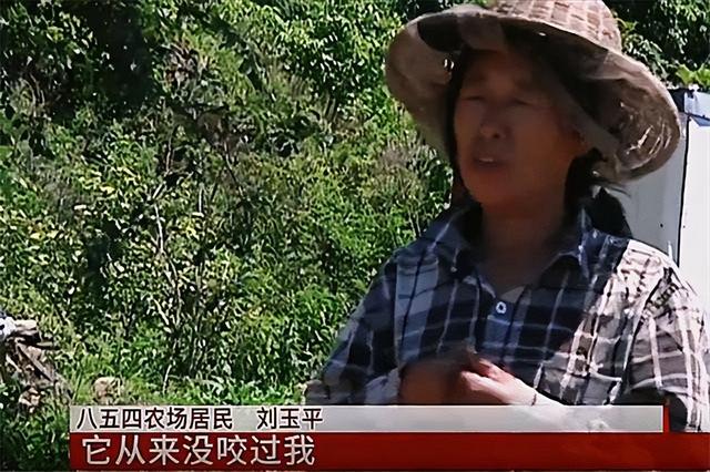 东北诡事真实案例，奇女子刘玉平和大蛇同吃同睡