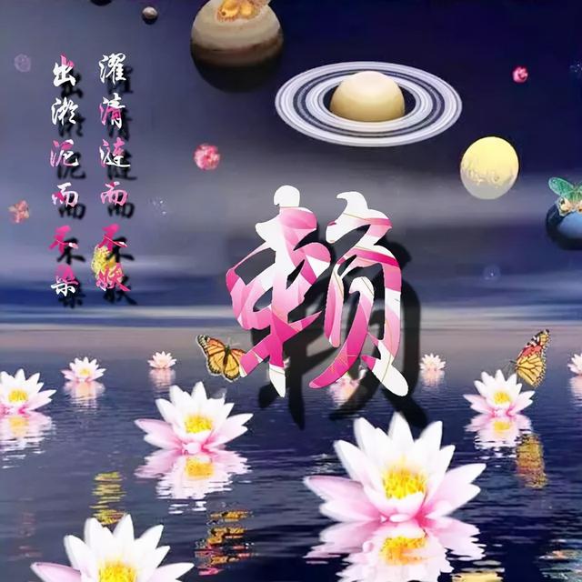 荷花头像图片大全，荷花头像高清图