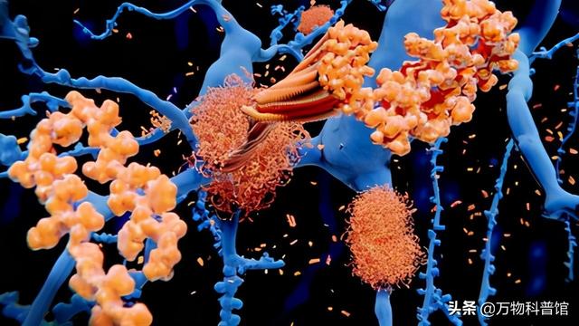 朊病毒到底是一种什么东西，千万别吃同类的肉