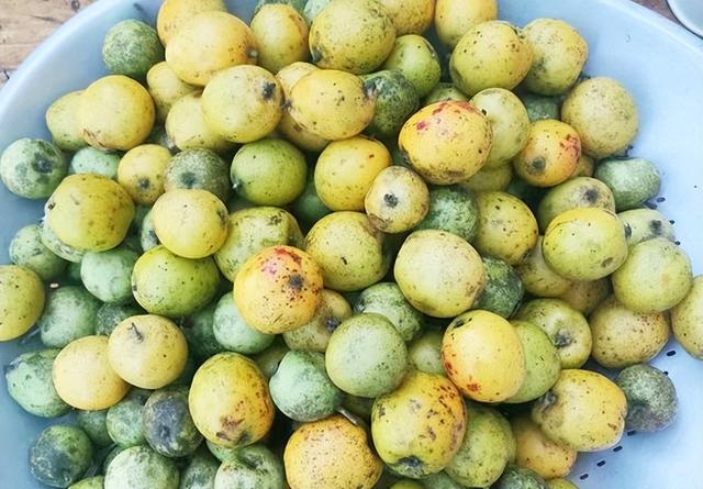 云南产什么水果，云南水果种类及名称