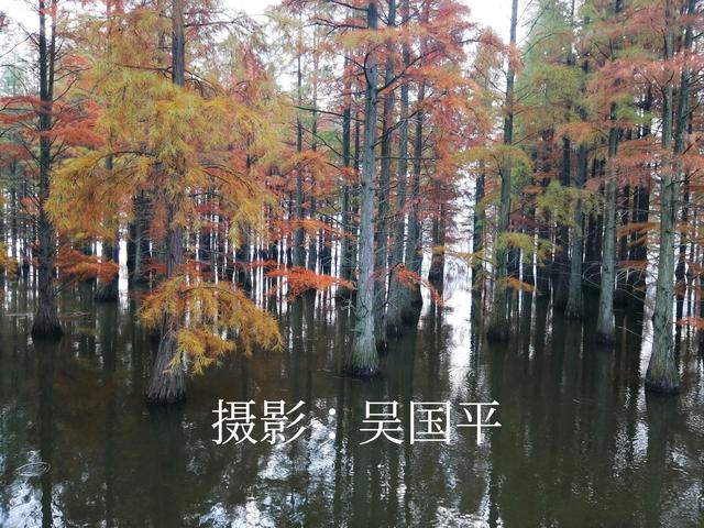 节假日皖南川藏线自驾游攻略，皖南川藏线国庆长假最美自驾游线路