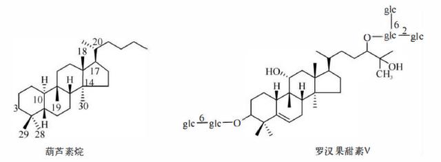 萜类的作用及功能，植物功效成分-三萜及其苷类