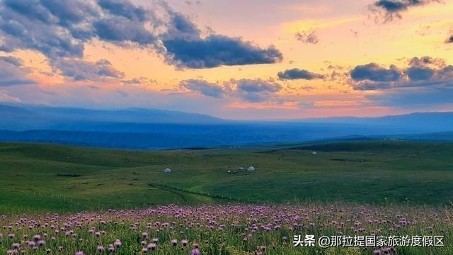 伊犁河谷最值得去的地方，伊犁河谷赏花攻略