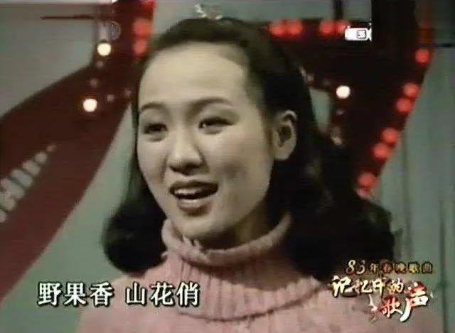 历年春晚回顾合集，央视春晚走过40年