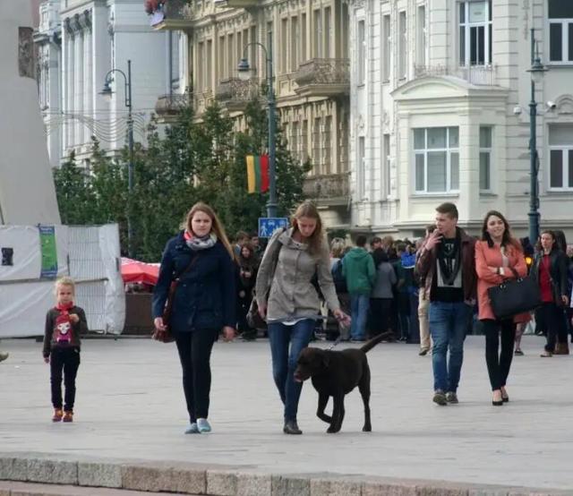 立陶宛人口面积，立陶宛国家面积有多大