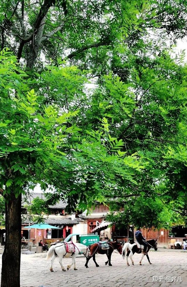 丽江古城旅游费用，丽江旅游自由行攻略及花费（想去丽江旅游的大哥们记下来,4-6月,1499玩到尽致）