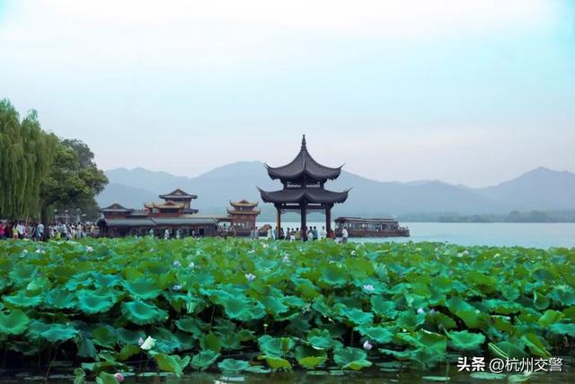 中秋节休闲游玩攻略，音乐派对、古风游园、月饼手作……就在余杭