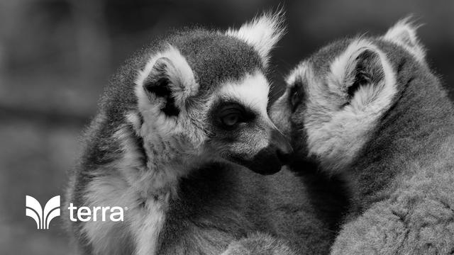 品牌logo设计大师，国家会议中心logo受关注