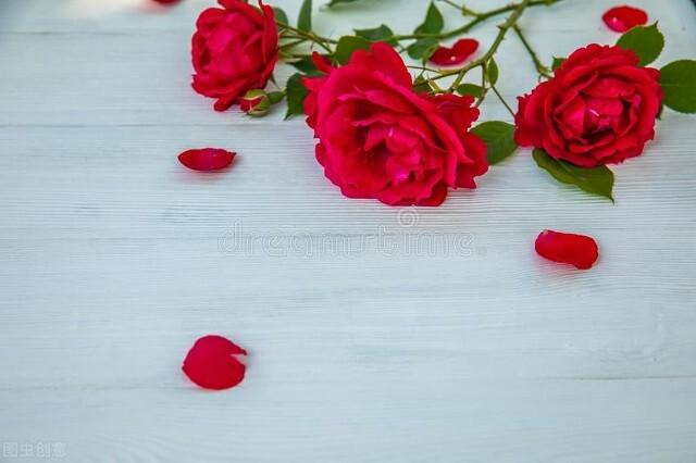 就在心里陪伴你，陪伴在心间