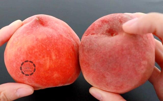 脆桃是没有成熟的桃子么，靖州：脆桃已成熟 等你来采摘