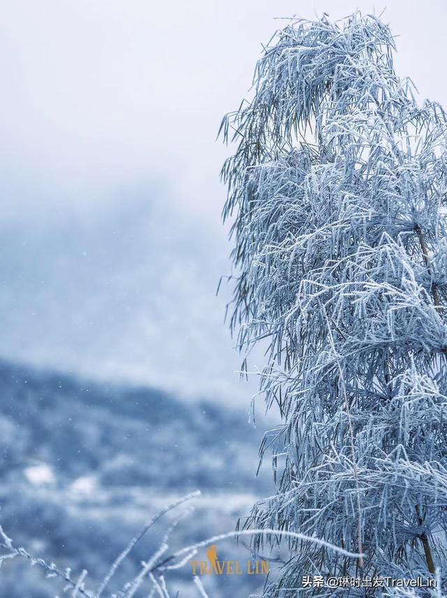 泸沽湖里格岛住宿推荐，位于川西的小瑞士